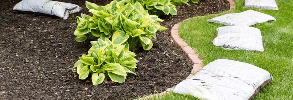 New mulch being installed in landscape bed.