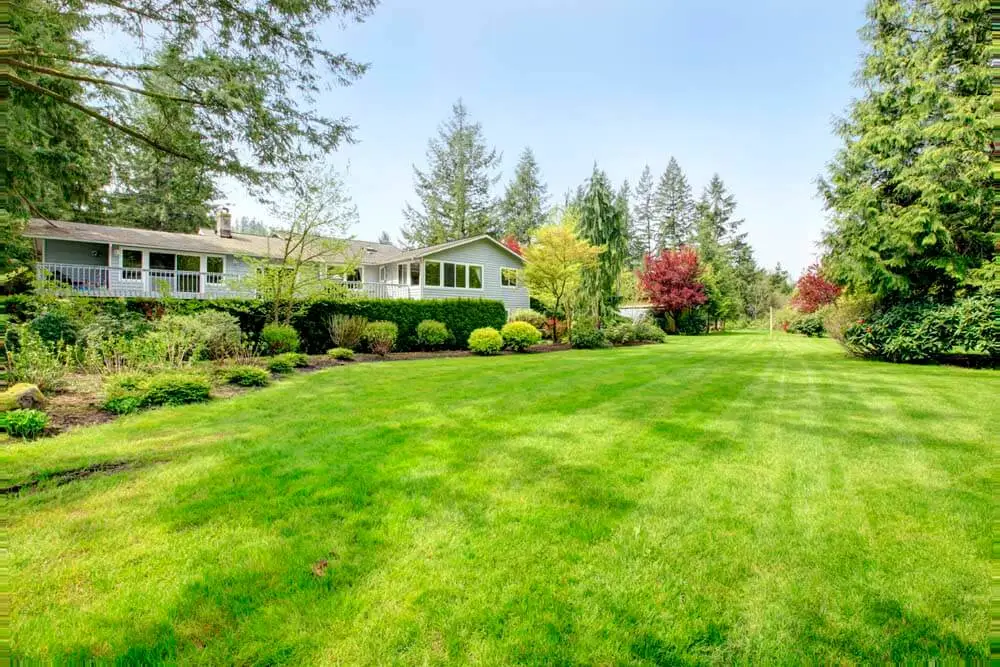 Lawn mowing service Tyler TX area — ET Lawn Care LLC